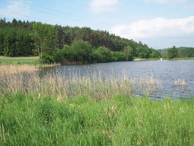 pohled k lesu - Jura46