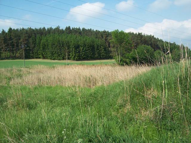 opět další pohled - Jura46