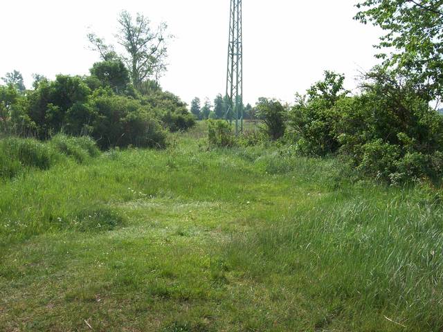 místo travnatá pláž - Jura46