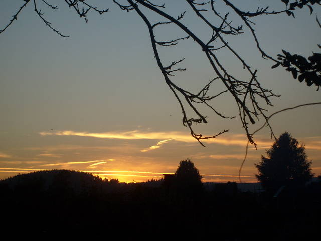 Obraz 274.jpg - Pepsi70