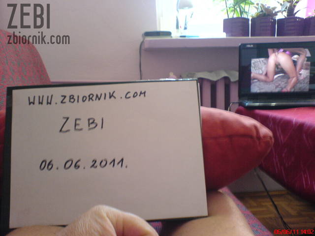 Zebi