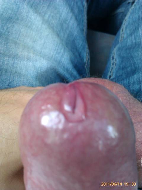 precum - gernot