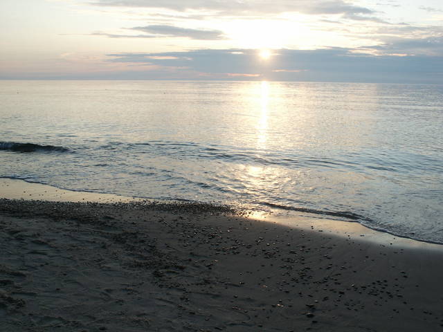 ktoś rozsypał kamyki... - sjkp