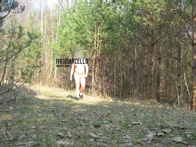 Obraz 024.jpg - 1983marcello