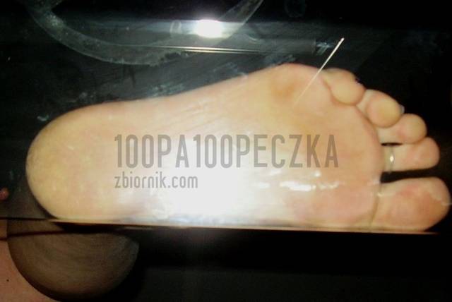 spodzik na ławie - 100pa100peczka