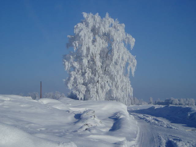 P1280186.JPG - Jareczek1610