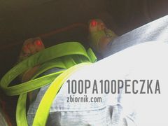 Zielone 07