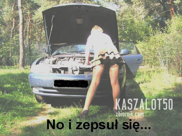 PICT6202.JPG - kaszalot50