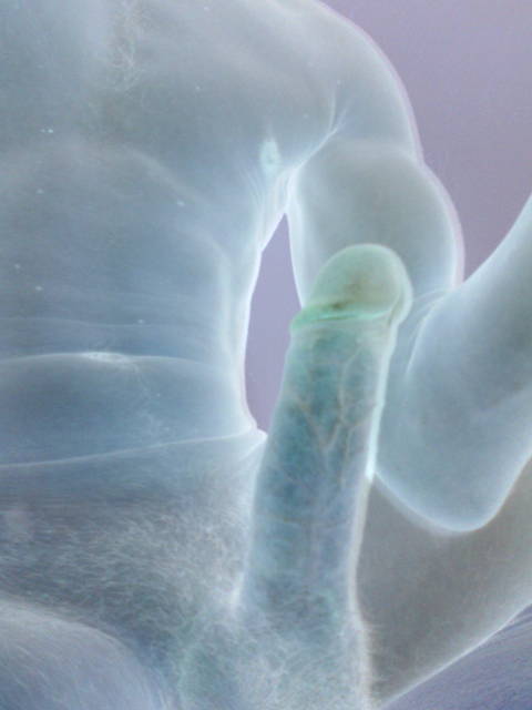 201107171115.jpg - doublecik2