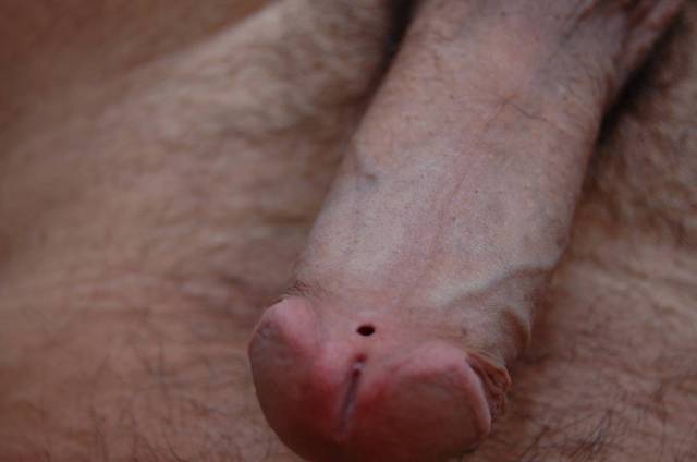 x (1).JPG - gutenmorgen