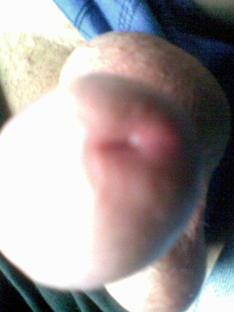 CHCECIE - SPEED696969