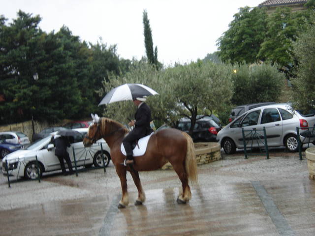 zapraszam na konia - 0143518427