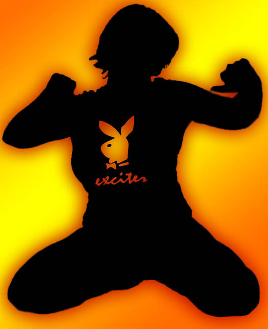 Exciter :) - exciter