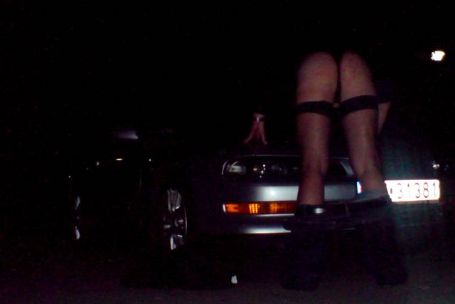 plener - tvgosia1986