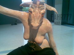 20090917(002).jpg