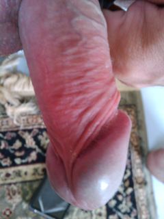 16.48.30.jpg