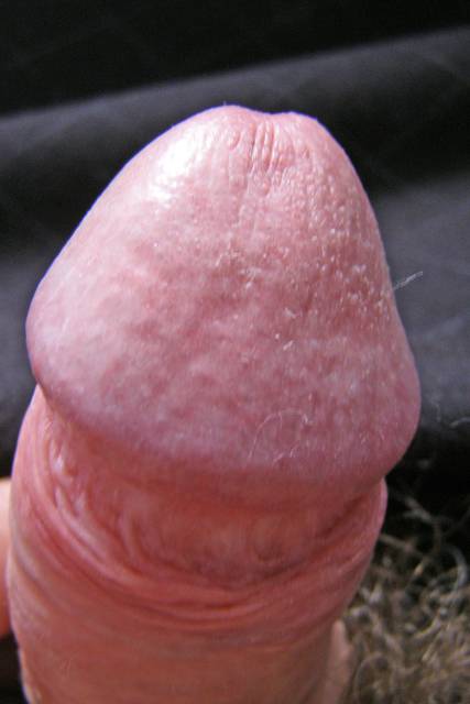 P9050002.JPG - Jaran23