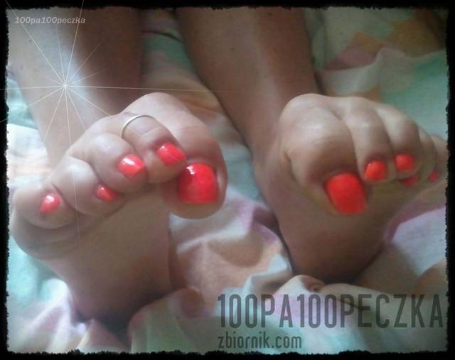 Orange 06 - 100pa100peczka