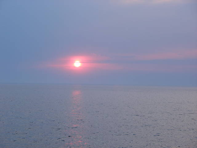 DSCF4211.JPG - pawel484