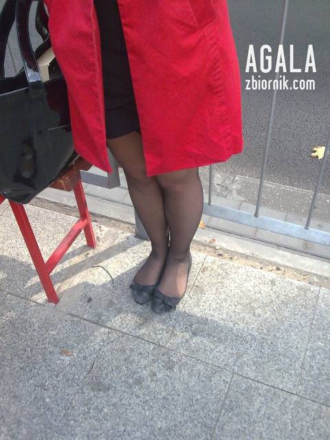 Pn029cza.jpg - AGALA