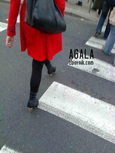 Vi0040cz.jpg - AGALA