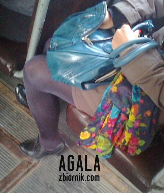 Vi0065cza.jpg - AGALA