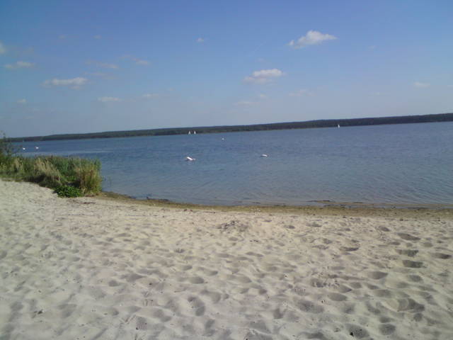 plaża z nutką jesieni 1 - NAGAPlazaSULEJOW