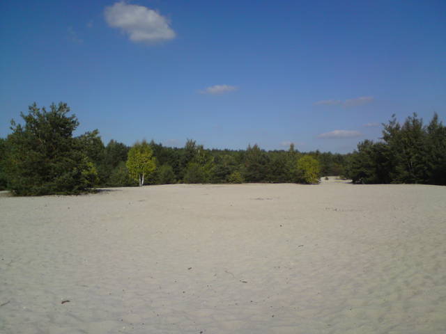 plaża z nutką jesieni 2 - NAGAPlazaSULEJOW