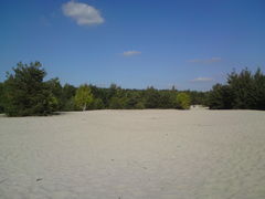 plaża z nutką jesieni 2