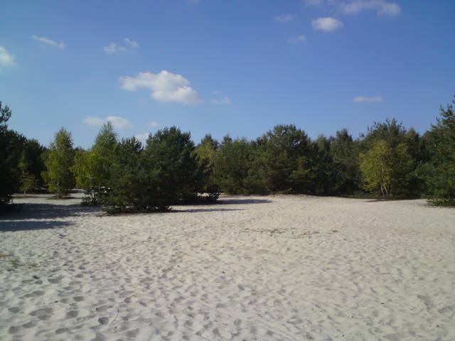 plaża z nutką jesieni 3 - NAGAPlazaSULEJOW