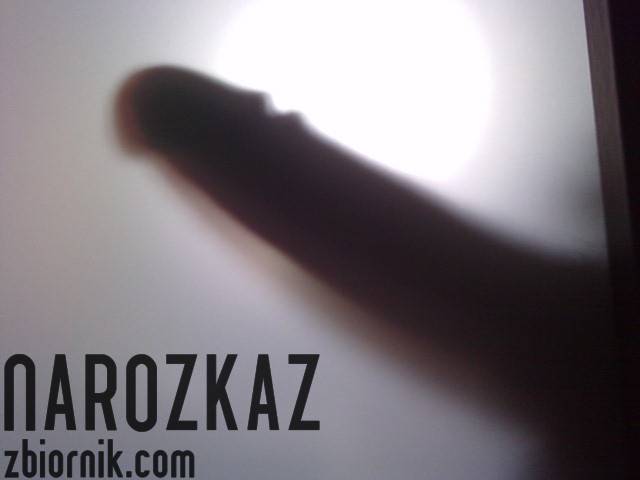 miecz Ninja :) - NaRozkaz