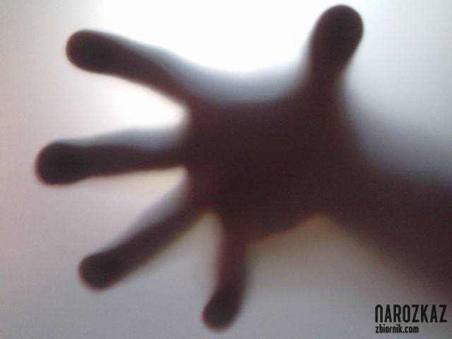 rzekotka australijska :) - NaRozkaz