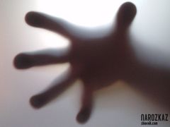 rzekotka australijska :)