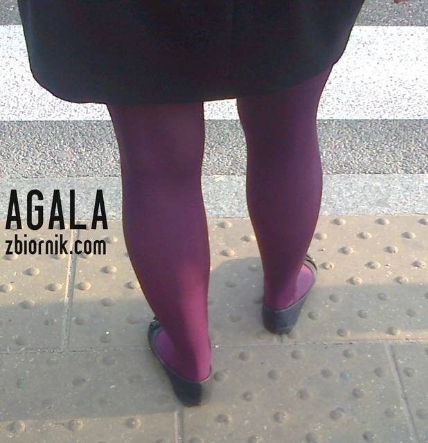 Zdjęcie0188kol.jpg - AGALA