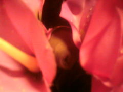 zgadniesz gdzie sie chowam