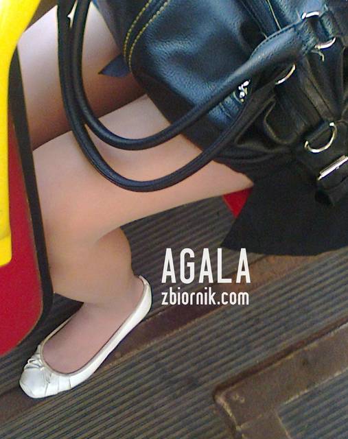 Zdjęcie0220kl.jpg - AGALA