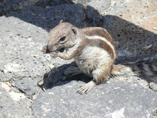Bez tytułu - Handmade