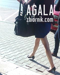 Zdjęcie0370kl.jpg