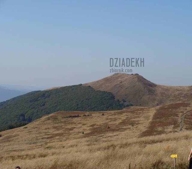 Połonina Wetlińska - dziadekh