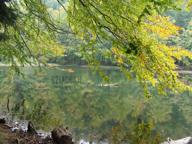 Jeziorko Duszatyńskie II - dziadekh