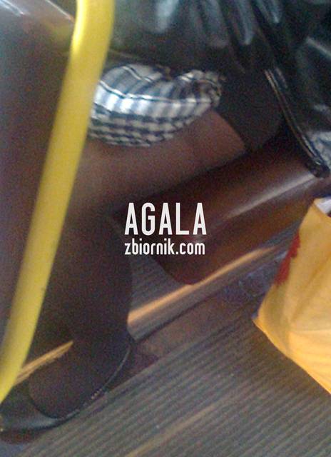 Zdjęcie0588cz.jpg - AGALA