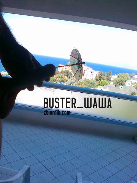 widok z okna - Buster_wawa