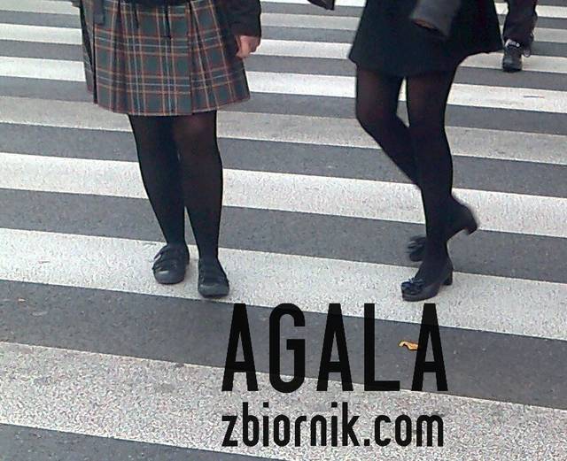 Zdjęcie0849cz.jpg - AGALA