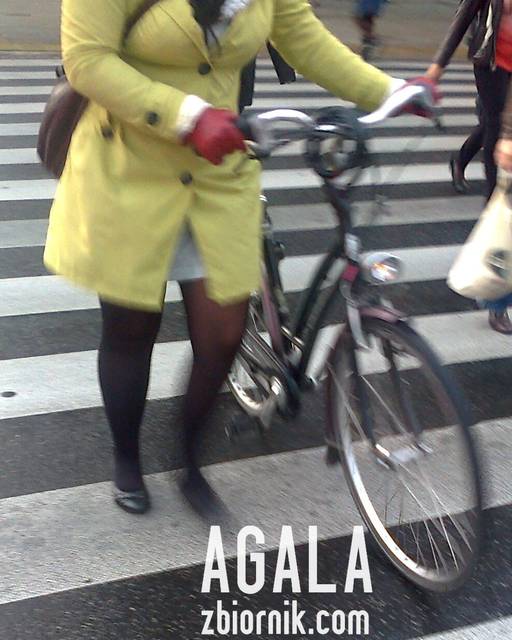 Zdjęcie0926cz.jpg - AGALA