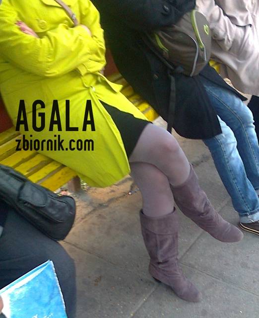 Zdjęcie1153kol.jpg - AGALA