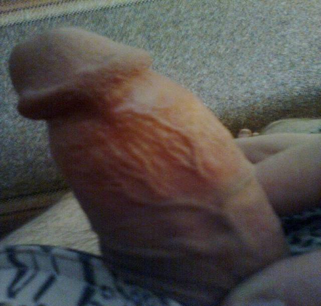 słodki - MeskaKotka