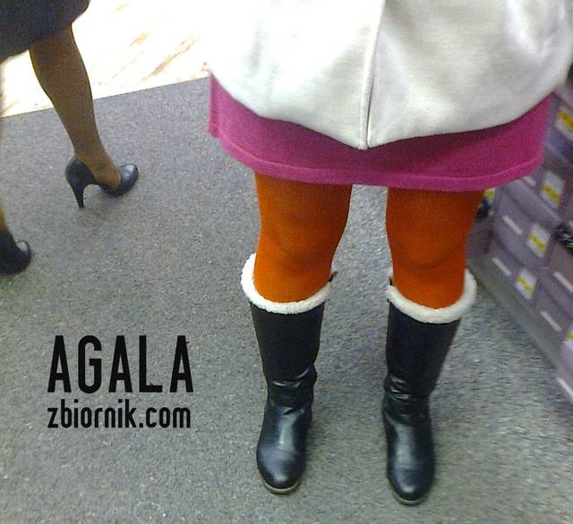 Zdjęcie1688kol.jpg - AGALA