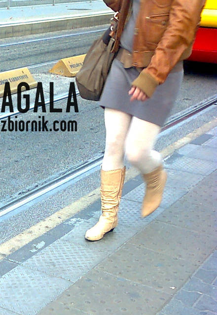 Zdjęcie1748kol.jpg - AGALA