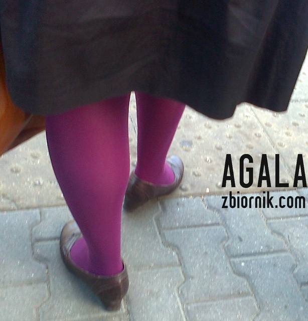 Zdjęcie1781kol.jpg - AGALA