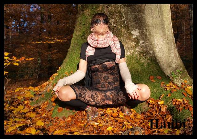 Zlota Jesien 1 - haubi